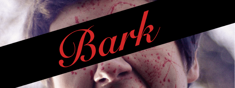 Bark Featured Cover 3840x1440 PNG.png